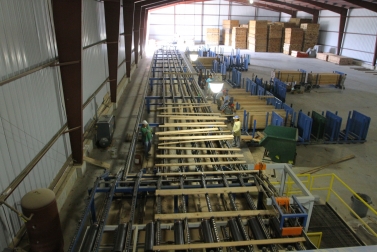 Lumber being sorted from a pull chain into carts